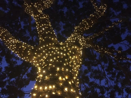 Macrossan Street will shine as the switch is flipped on