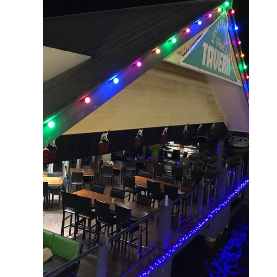 24v 10 Metre Coloured Bulbs Festoon Lighting Kit