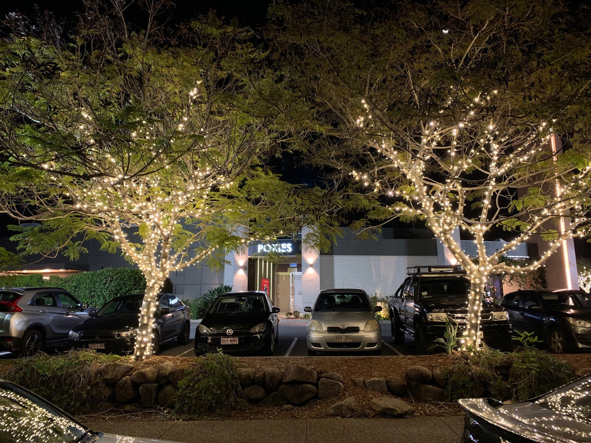 24v Fairy Light Tree Kit - Medium