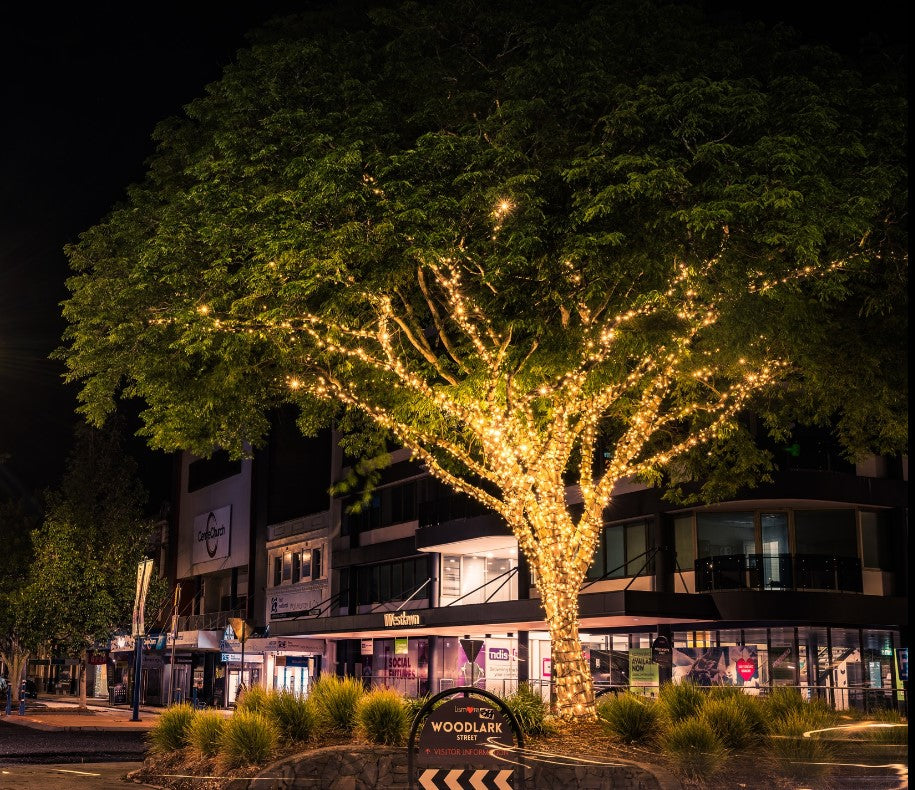 24v Fairy Light Tree Kit - Large