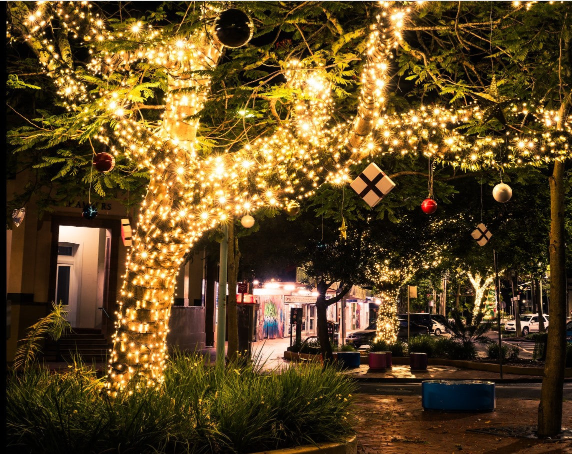 24v 3 Metre Fairy Light String