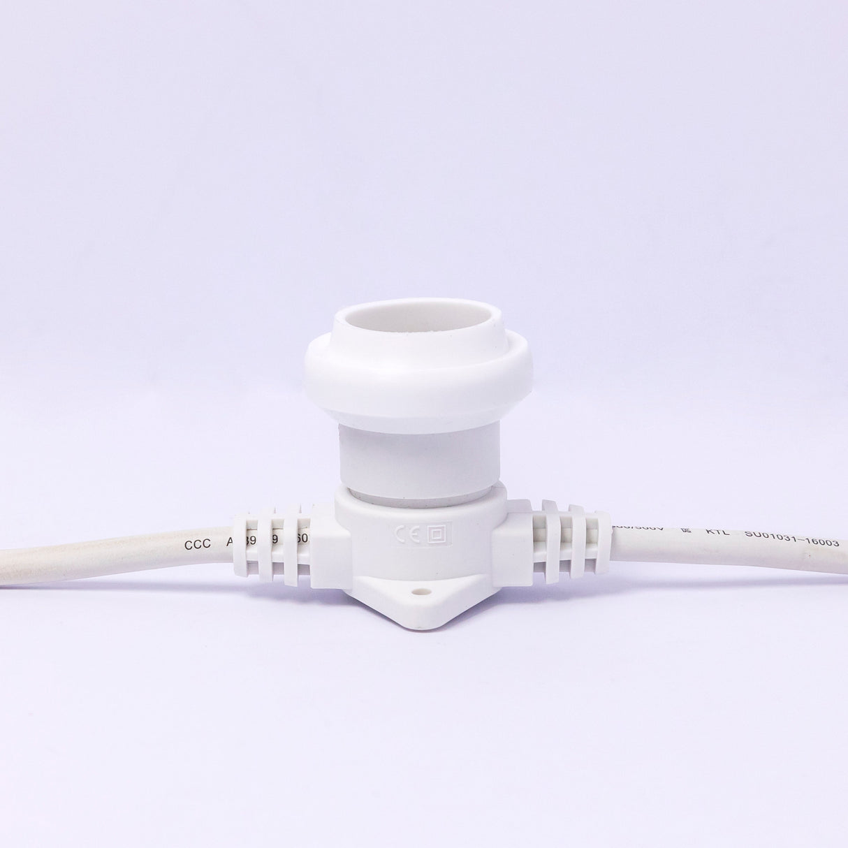 24v 25 Metre Festoon Belt 100cm Socket Spacing