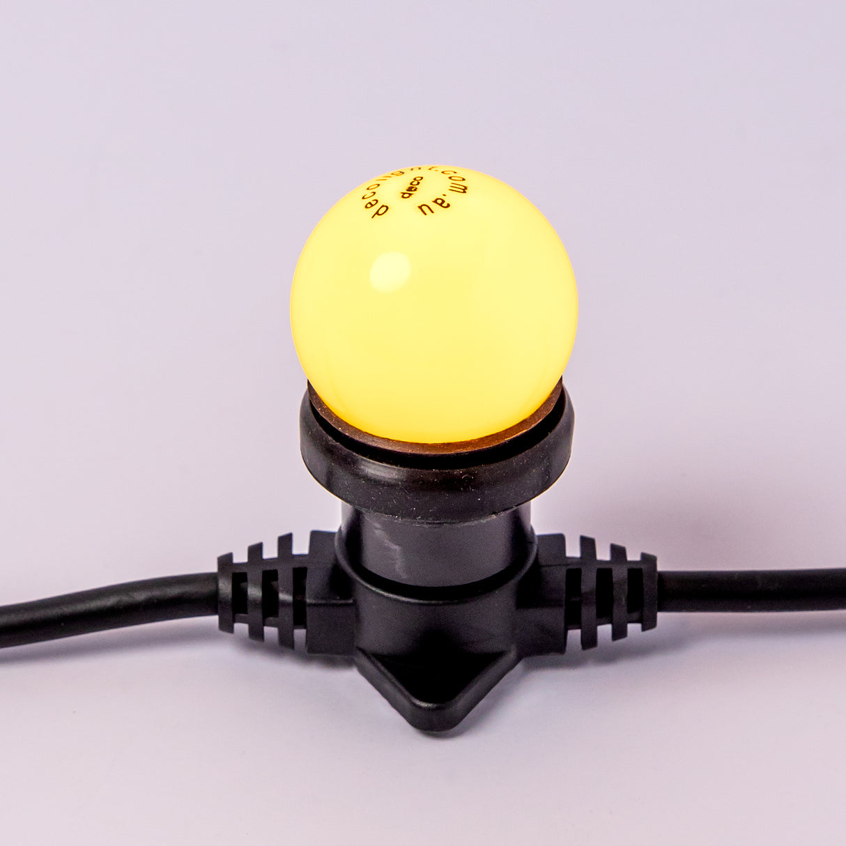 24v 50 Metre Coloured Bulb Festoon Kit for Event Lighting