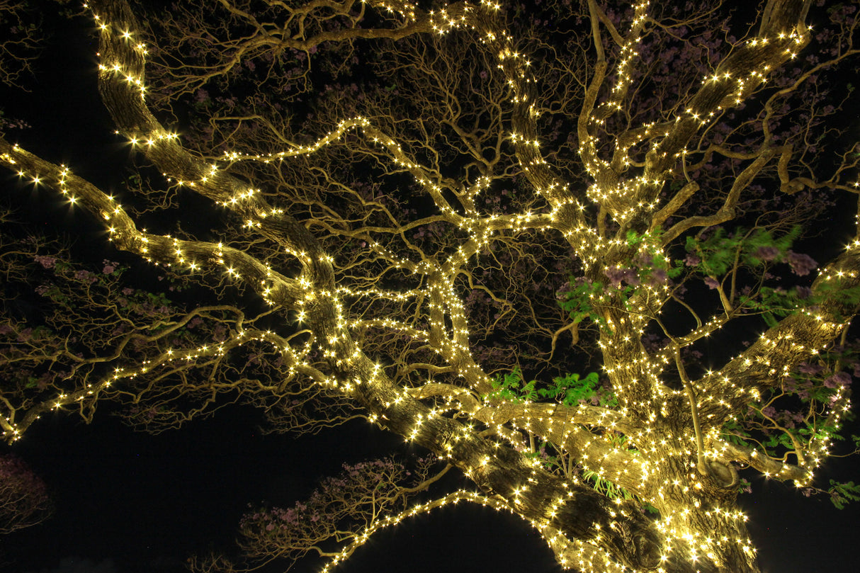 24v 10 Metre Fairy Light String