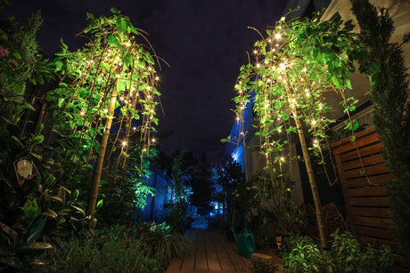 Garden Lights