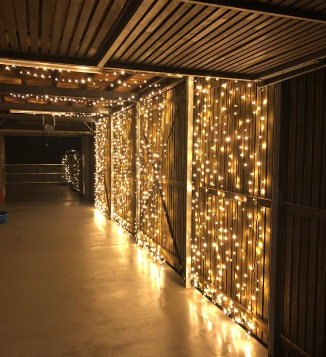 24v 1 Metre Hanging Warm White Fairy Light String