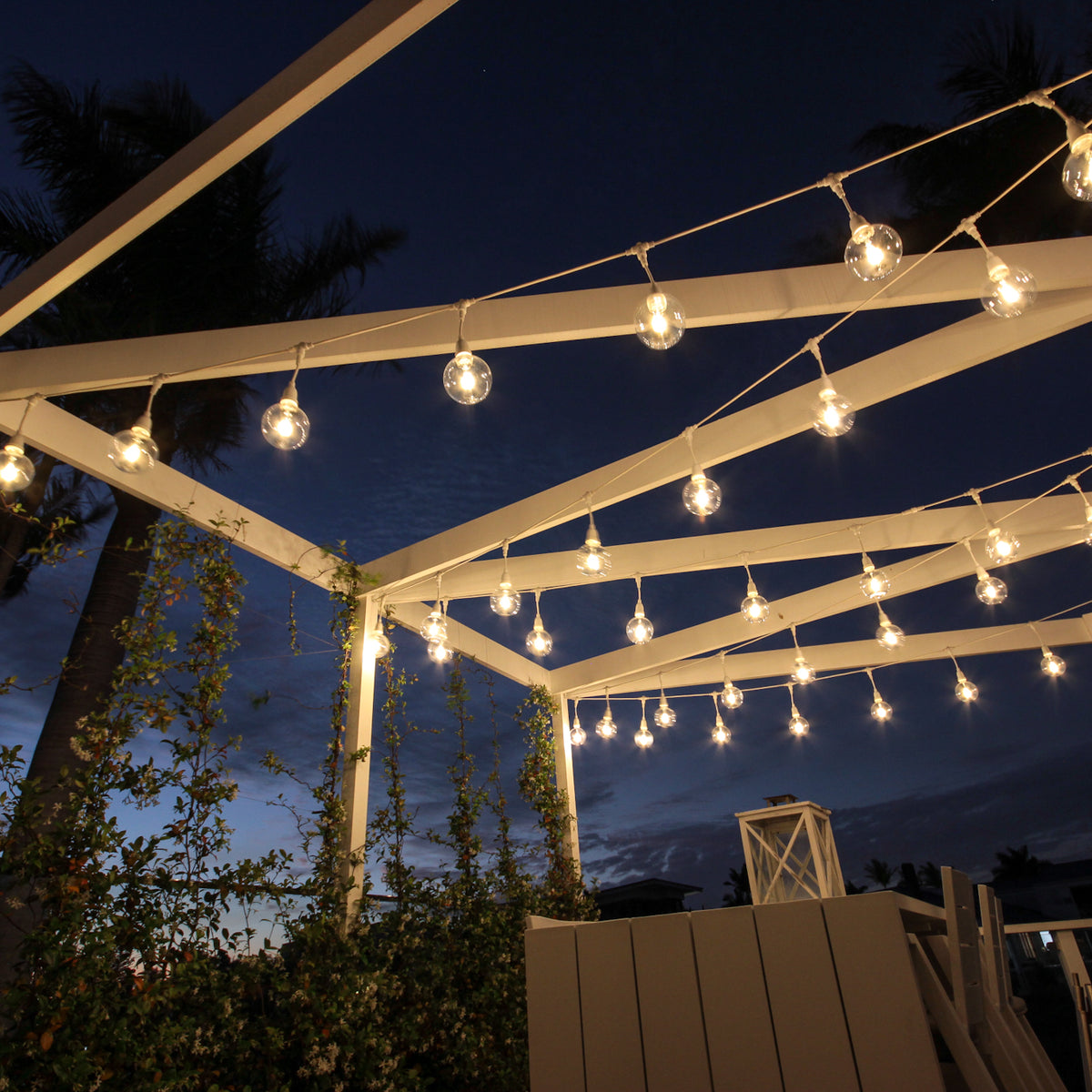 24v 50 Metre Festoon Kit 1 Metre Bulb Spacing – Decorative Lighting Company