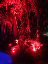 10 Watt LED (RGB) COB Style Spot Flood Light