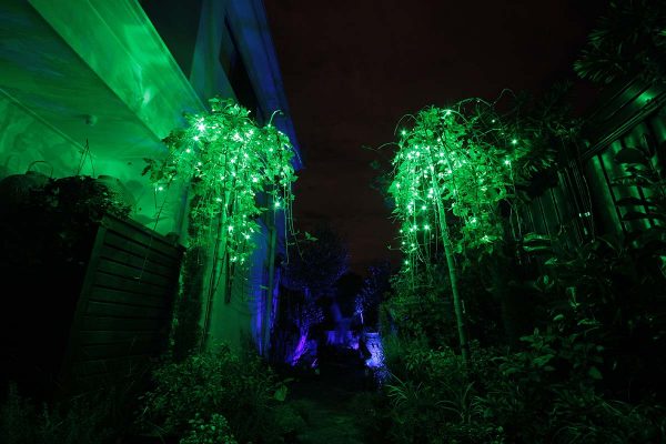 Colour changing fairy lights set on Green
