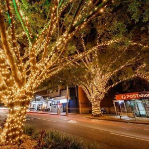 Warm white fairy lights at Racecourse Road