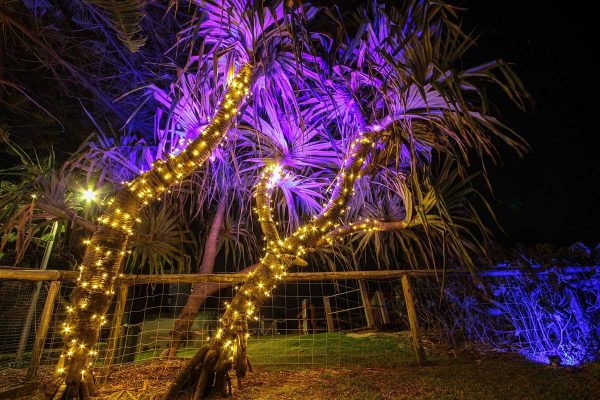 Fairy lighting and colour changing flood lights